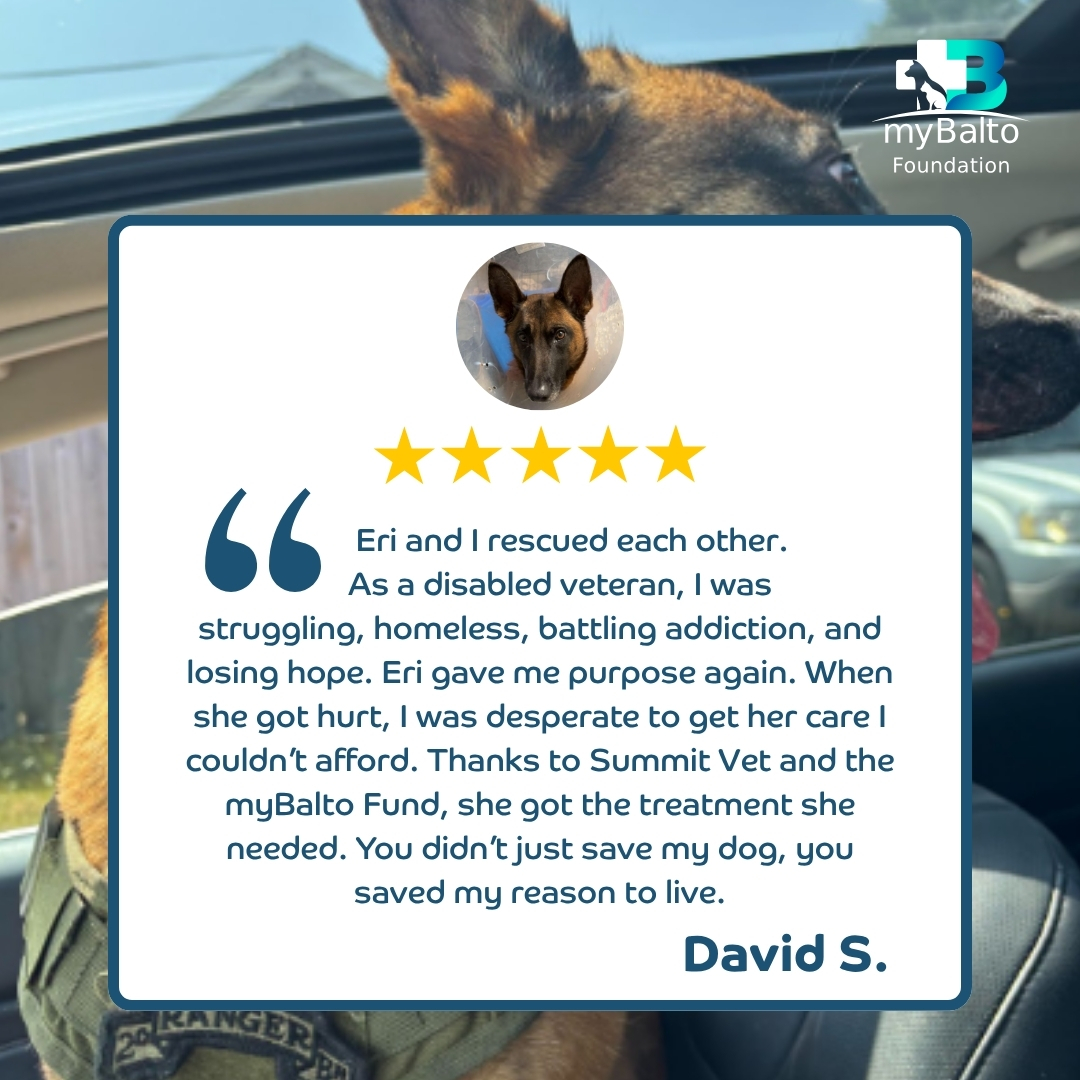 Testimonial from David S. about his dog Eri