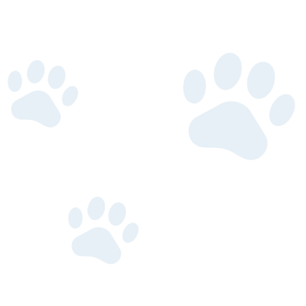 Decorative paw prints