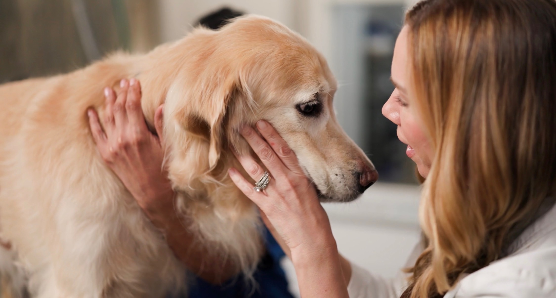 Veterinarian with dog